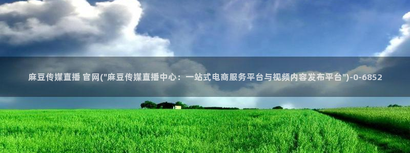 麻豆文化影视传媒官网:麻豆传媒直播 官网(\