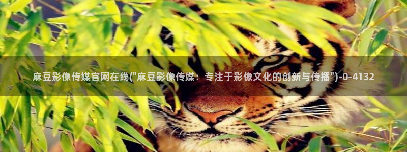 麻豆传媒台湾官网:麻豆影像传媒官网在线(\
