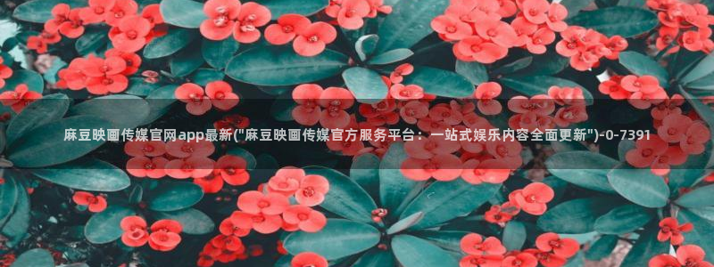 麻豆影视传媒官网app:麻豆映画传媒官网app最新(\
